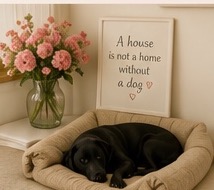 Dog sleeping in a bed beside flowers